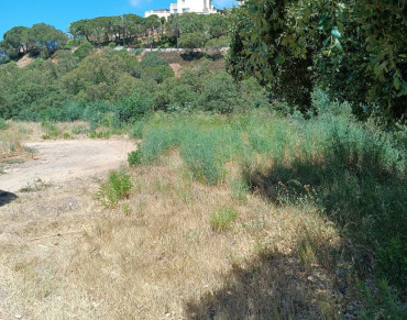 Land for sale in Marbella East - W-02SFSC