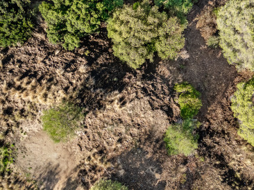 Plot / Land in Marbella — photo 3