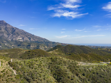 Plot / Land in Benahavis — photo 2