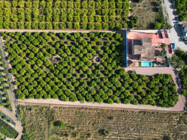 House in Orihuela