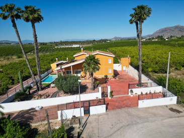 House in Orihuela — photo 3