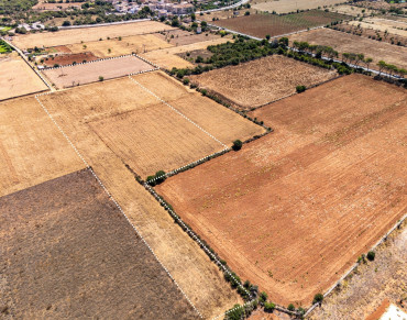 Land for sale in Santanyí - 79346KDT