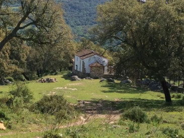 House in Cortes de la Frontera — photo 3