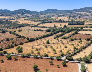 Land for sale in Cas Concos - 7307