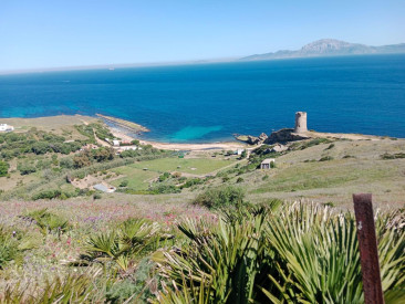 Plot / Land in Tarifa — photo 4