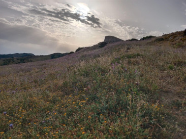 Plot / Land in Tarifa — photo 5