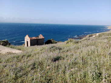 Plot / Land in Tarifa — photo 6