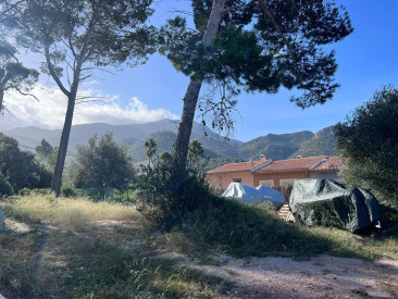 Plot / Land in Banyalbufar — photo 4