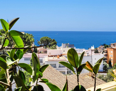 Villa for sale in Sant Agustí - EXP12453