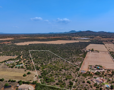 Land for sale in Santanyí - 79347KDT