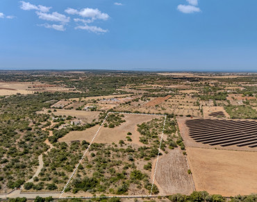 Land for sale in Santanyí - 79348KDT