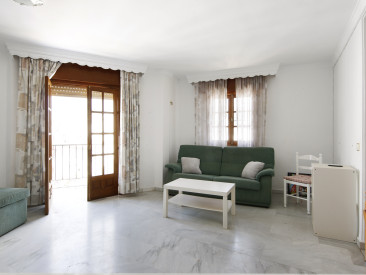 Apartment in Estepona