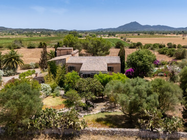 Finca in Felanitx — photo 2