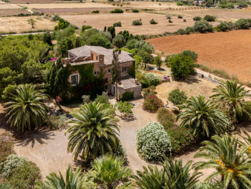 Finca in Felanitx — photo 3