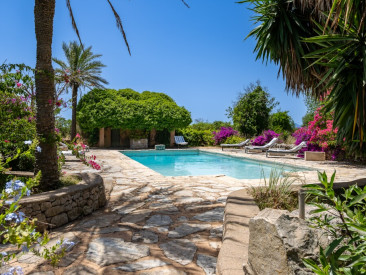 Finca in Felanitx — photo 4