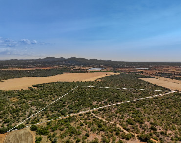 Land for sale in Santanyí - 79349KDT