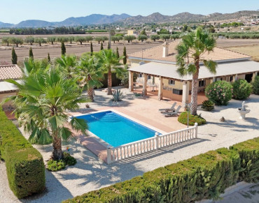 Villa for sale in Pedanías Oeste - 1809