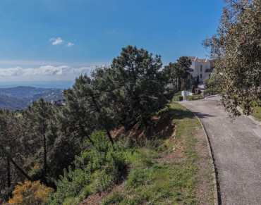Land for sale in Benahavis - R5205529