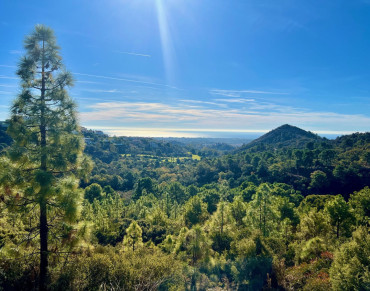 Land for sale in Benahavis - 343-R4753684