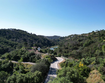 Land for sale in Monte Mayor - 343-R5230282