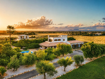 Finca in Campos