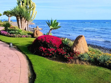 Apartment in Estepona — photo 2