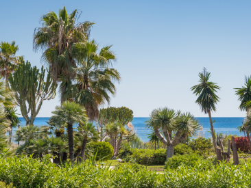 Apartment in Estepona — photo 2