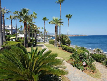 Plot / Land in Estepona — photo 3
