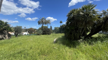 Plot / Land for sale in Sotogrande, Cádiz — photo 3 of 5